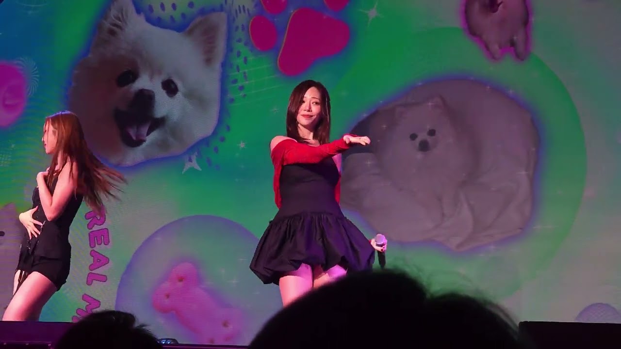 [4K] | Cherry (Jiu Solo) | [20251214] Dreamcatcher UAU [Playlist