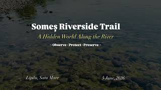 What Lives Inside This Quiet River Will Surprise You... | Short Documentary