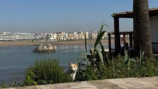 Maroc - On quitte le Maroc, c’était hyper cool ! On va où maintenant  ?
