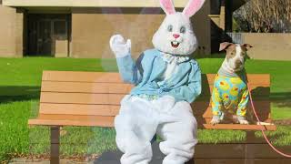 Minute with the Mayor | 2026 Spring Egg Hunt