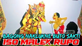 Bajul Seto Iso Gawe Wujud Bagong Dadi Sopo Wae Gawe Musuhe Buyer Sirahe Ki Dalang Seno Nugroho