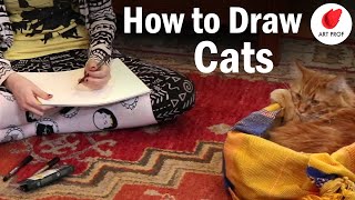 How to Draw Cats: Step by Step Sketching Tutorial for Beginners screenshot 5