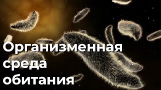 Организменная среда обитания 5 класс