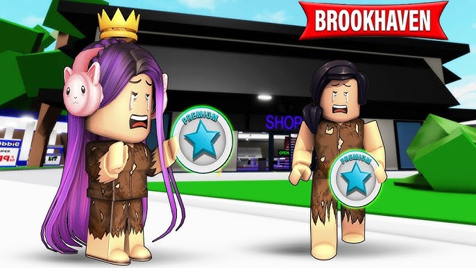 Luluca Novelinha Roblox fazendo Faxina na Casa de Brookhaven Junto