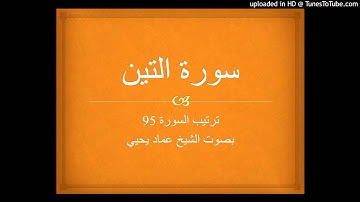 سورة التين