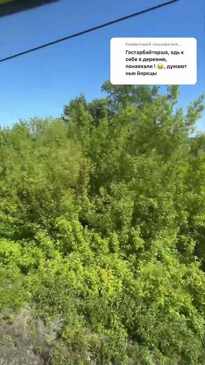 СЫН-АМЕРИКАНЕЦ ХОЧЕТ ЖИТЬ В РУССКОЙ ДЕРЕВНЕ ️ #рф #россия # ...
