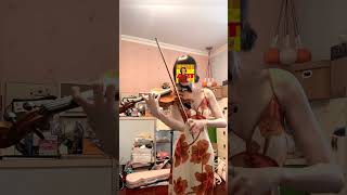 The Magic Flute, Die Zauberflöte - Mozart, Violin cover