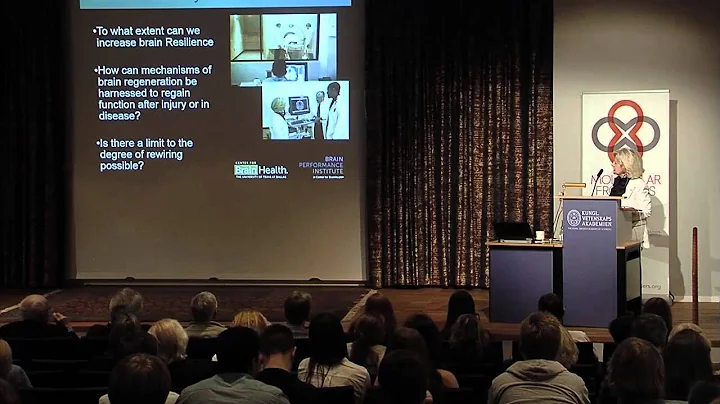 Sandra Bond Chapman: Brain blood flow and synchron...