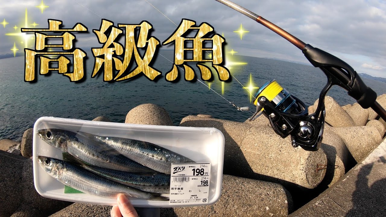 衝撃】スーパーの198円イワシで穴釣りに行ったら高級魚が連発ゥ