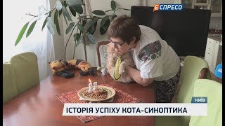 Історія успіху кота-синоптика Історія успіху кота-синоптика