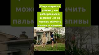 Пальмы не везде растут , уж извините #мем #шутка #юмор #кино #фильм #нарезки #эннхэтэуэй