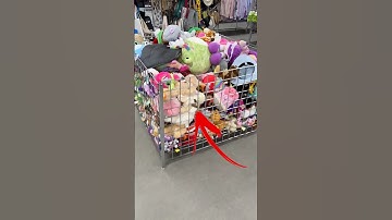 Don’t walk past this easy money at thrift stores!