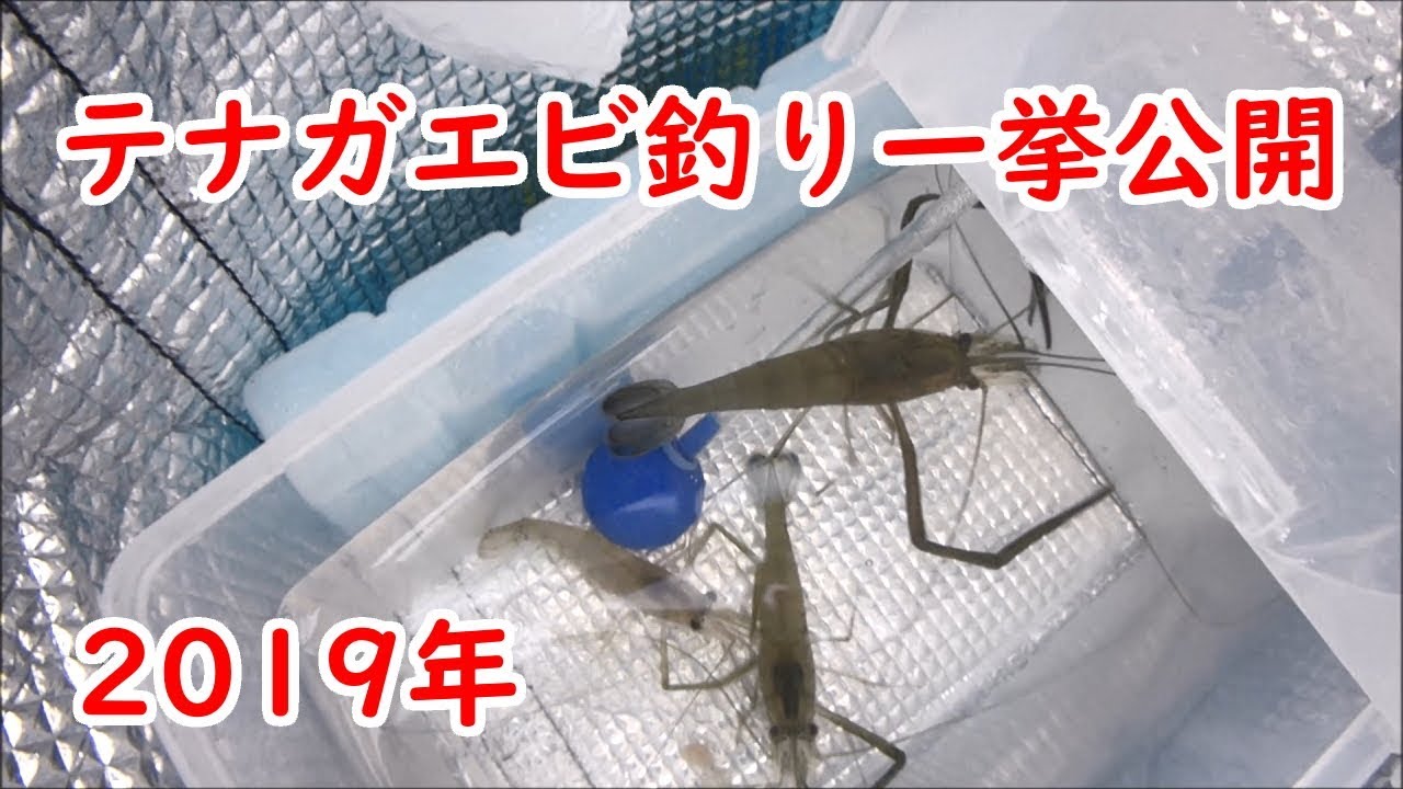 テナガエビ釣り 19年を一挙に見せます 多摩川大橋 平井大橋 笹目橋 Youtube