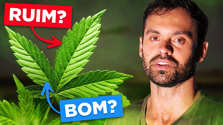 We need to talk about marijuana.