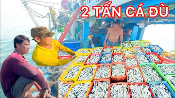 LƯỚI BAO ĐÁ BẠC CÀ MAU TRÚNG 2 TẤN CÁ ĐÙ 