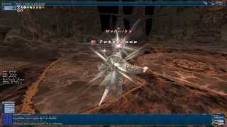 BCNM: The Palborough Project - FFXI