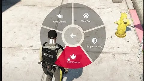 Fivem Radial Menu ESX