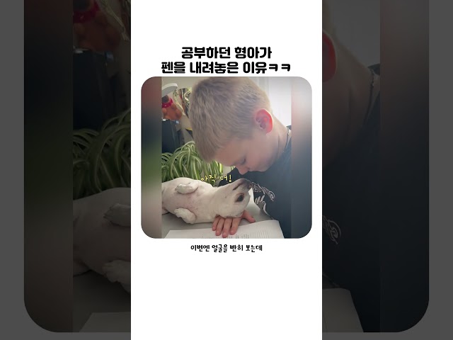 공부가 중요한게 아냐ㅋㅋㅋㅋ #댕댕니