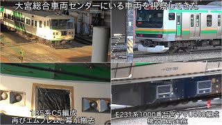 【185系C5編成のエンブレムと幕が再び撤去】大宮総合車両センターにいるE231系1000番台宮ヤマU588編成はやはりVVVFの機器更新が実施された ~臨時入場は機器更新が目的だった∼