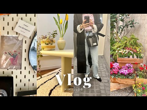 (eng)Vlog 30代事務職OLの1週間📔🧸Dandelion Chocolate 新しい家具vamir🧺 ルックファミリーセールと春服購入品🌸