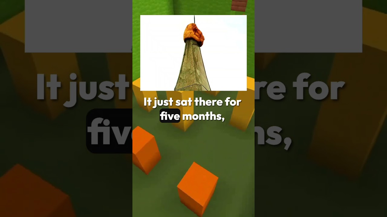 No One Knows How This Pumpkin Got Up There