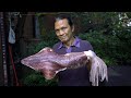 Iron Chef Dad Cooks Giant Squid.