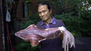 Iron Chef Dad Cooks Giant Squid.