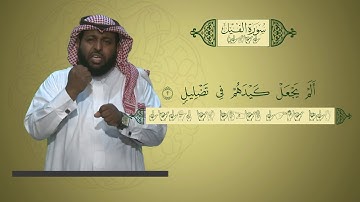 منهج القرآن الكريم للمرحلة الابتدائية بلغة الإشارة | سورة الفيل
