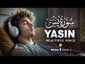 Best recitation of Quran in the world | Surah Yasin (Yaseen) سورة يس | Relaxing Voice | Zikrullah TV