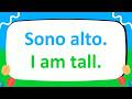 Learn the 300+ Most Important Italian Phrases to Master ANTONYMS!