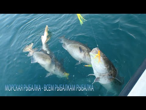 Видео: Морская рыбалка   всем рыбалкам рыбалка