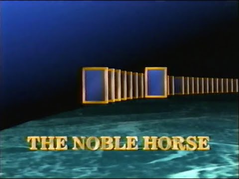 Video: A horse is a noble animal with a long history