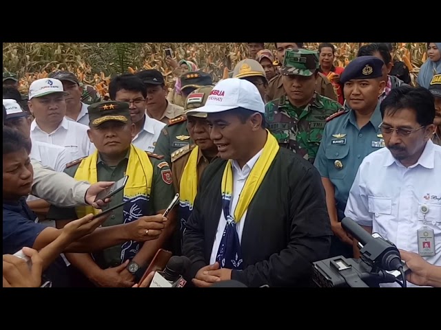 Kunjungan Menteri Pertanian pada Panen Raya Jagung Hibrida di Tajau Pecah Tanah Laut class=