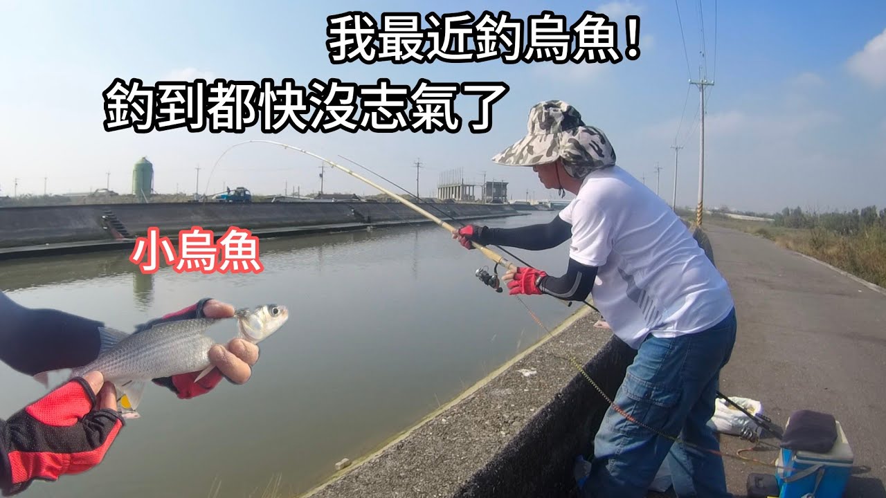 這陣子我釣烏魚是越釣越沒志氣了！（388集）@Pin338548 阿平趴趴走