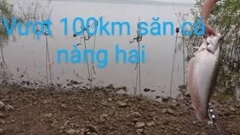 Câu cá nàng hai. Đập sông ray