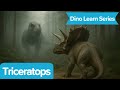 Triceratops (Dino Learn Series) | Dinosaur Learning Song | Kids Song | Mangdungi Kids