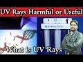 What is UV Rays? Ultra Violet Light Harmful or Useful? UV ...