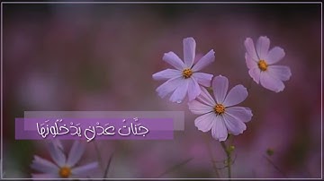 ما تَيسّر من سورة الرّعد | القارئ ياسِر الدّوسري 🌿.