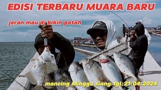 EDISI MANCING MUARA BARU TERBARU TGL:21-04-2024 HARI MINGGU‼️alhamdulilah masih di kasih setrek