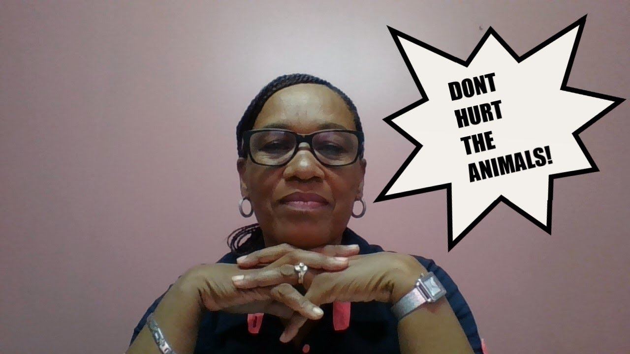 DONT HURT THE ANIMALS!!! - YouTube