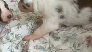 12-7-08 - VID00001.AVI
