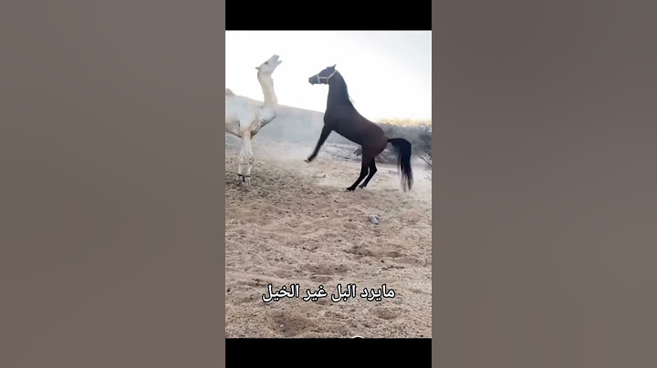 مايرد البل غير الخيل #horse #حصان #shorts