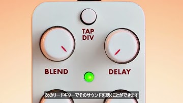 【日本語字幕】Electro Harmonix PICO CANYON ECHO Digital Delay EHX Demo by BILL RUPPERT