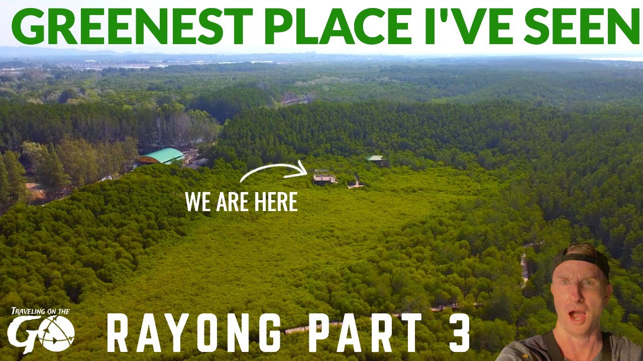 unseen ระยอง  New  Rayong Thailand the Greenest Natural Destination I visited lately | Cave Exploring in the Jungle