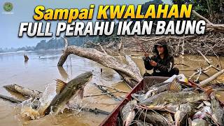 INI YANG KALIAN TUNGGU ‼️ MANCING BAUNG UMPAN KUCUR YT KAHAYAN TEPAT DISARANG NYA