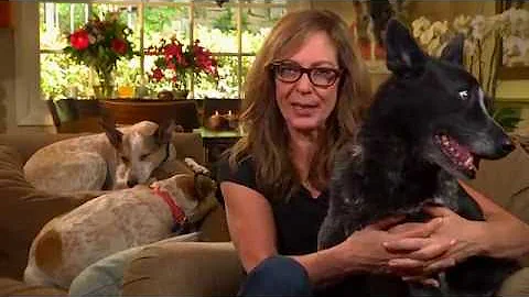 Shelter Me: New Beginnings - Allison Janney