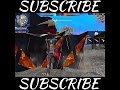 FUNK DO BOUNCE🔥  Montage FF Edit🔥😍 #viral #shortvideo #shorts #short #freefire #ff #ffshorts #gaming