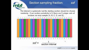 Webinar: Unbiased stereology to count cells in regions of interest