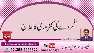 Download Lagu Amir Obhaya Lasi MP3 Amir Obhaya Lasi