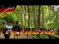 La ruta de la Selva Negra | Vlog Germany 3#